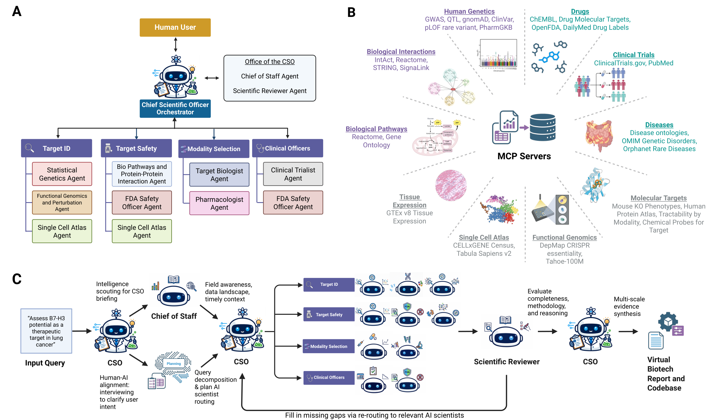 Three-panel architecture diagram. A: the Chief Scientific Officer and specialist divisions. B: connected data spanning genetics, drugs, trials, diseases, molecular targets, functional genomics, single-cell and tissue expression, pathways, and interactions. C: a question moves through planning, specialist analysis, scientific review, and a final report, with feedback to address gaps.